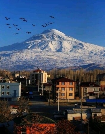 AĞRI Firmalar, Telif iste