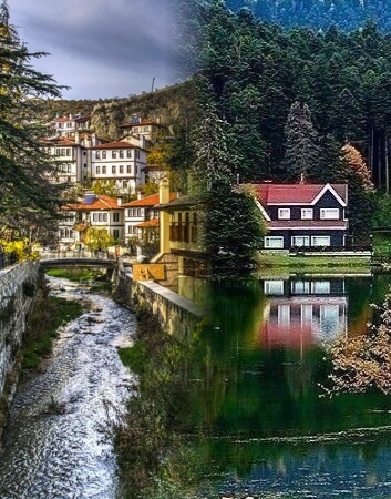 BOLU Firmalar, Telif iste