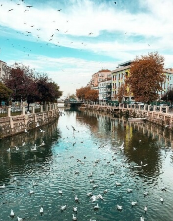 YALOVA Firmalar, Telif iste