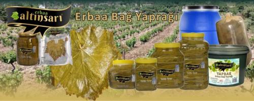 ALTINSARI YAPRAK Erbaa Yaprağı