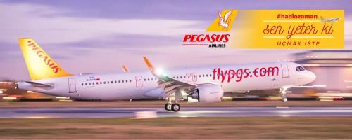 Pegasus Hava Taşımacılığı A.Ş.