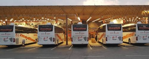 MEDİNE SEYAHAT TURİZM LTD.ŞTİ.