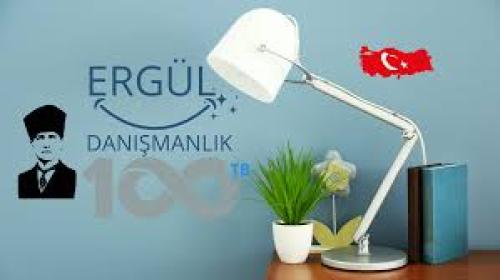Ergül Danışmanlik