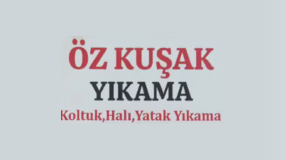 Öz kuşak koltuk halı yatak yıkama